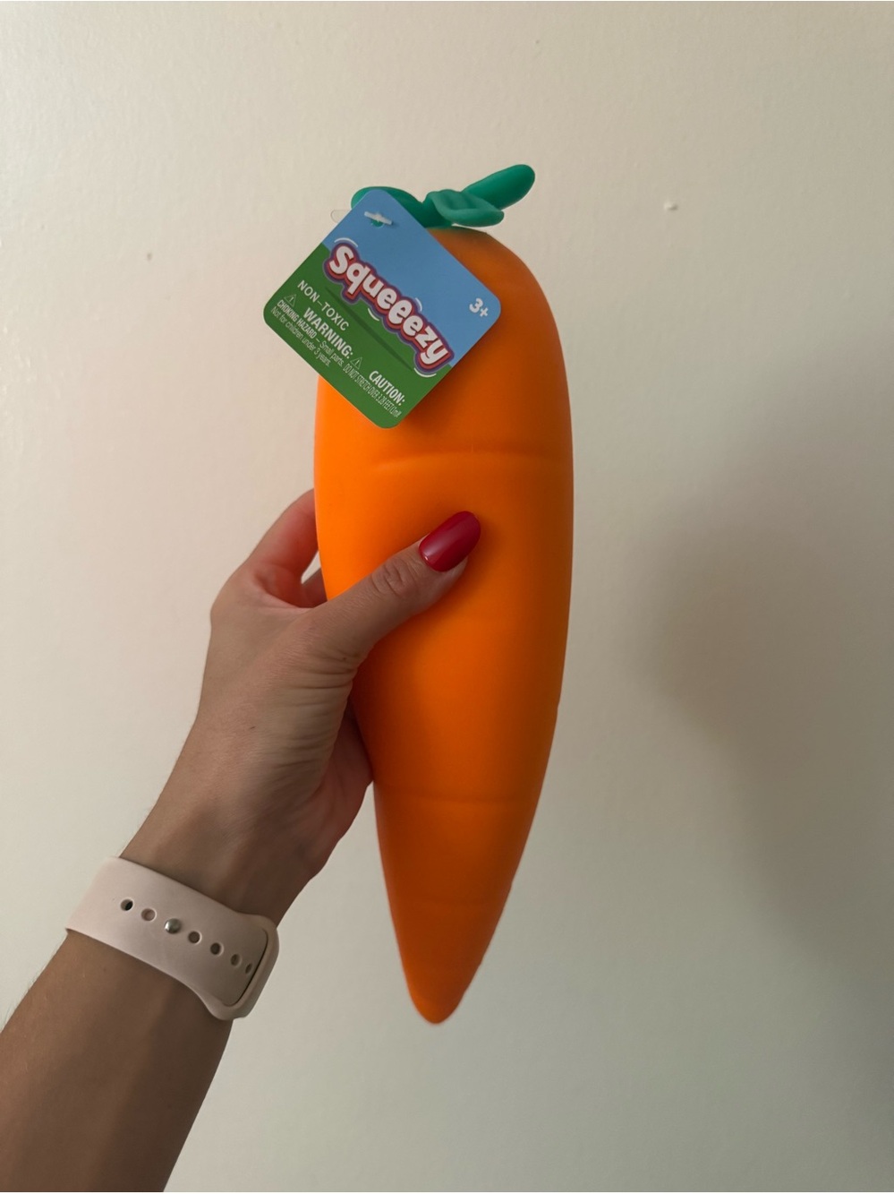 🥕Sunny Days Squeezy Carrot